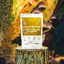 6 MUSHROOM WITH BACKGROUND.webp