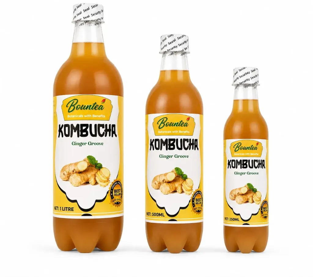 Bountea Ginger Groove Kombucha 1l